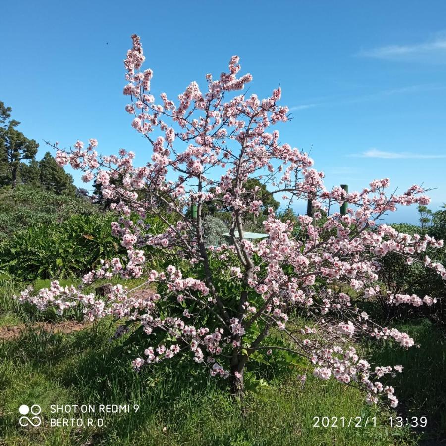 El Pinar  Casa Imeldo Y Eloisa 아파트 외부 사진